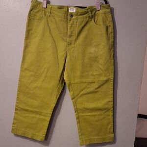 Monroe & Main Olive Pants